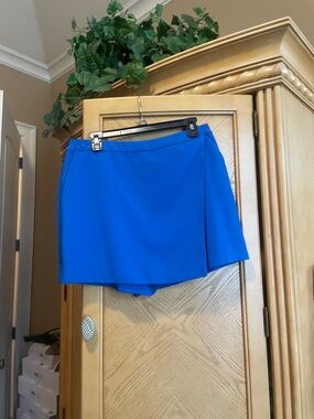 Skies are blue royal blue skirt size large